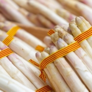 Espàrrecs - Fira Gavà