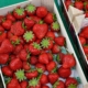 Caja Fresas